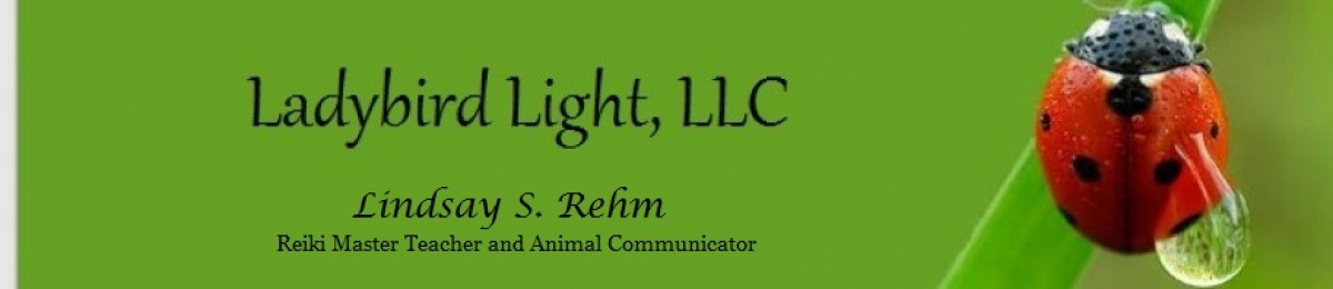 Ladybird Light, LLC ~ Reiki